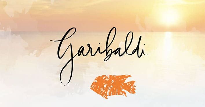 Garibaldi logo