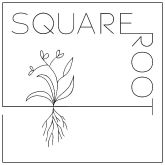 Square Root Designs